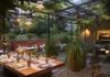 El patio de Alexandra