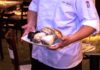 Setas y trufas - lluis rosich cachitos rambla