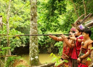 Viajes de aventuras por Malasia - Belum Rainforest