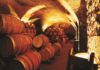 Cubas de vino Tannat