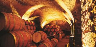 Cubas de vino Tannat
