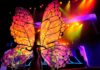 Sintonizart -Evento The Queen butterfly para Ron Barcelo