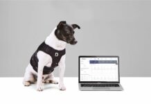 Dinbeat y su Arnés multiparamétrico galardonados con el premio “Innoval For Pets” en Iberzoo+Propet 2022