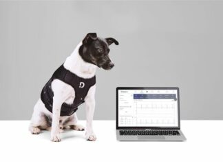 Dinbeat y su Arnés multiparamétrico galardonados con el premio “Innoval For Pets” en Iberzoo+Propet 2022