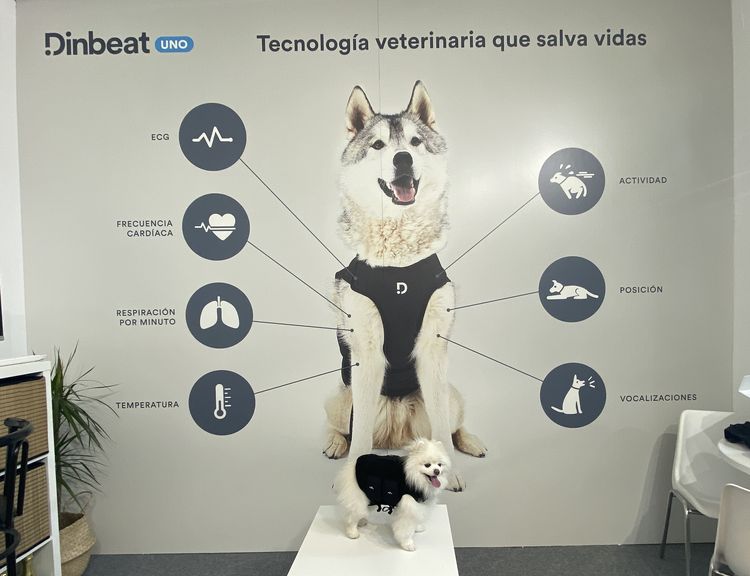 El arnes multiparamétrico de Dinbeat premio Innoval For Pets