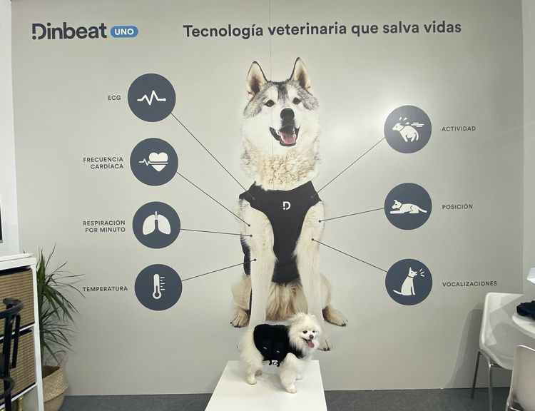 arnes multiparamétrico Dinbeat El arnes multiparamétrico de Dinbeat premio Innoval For Pets