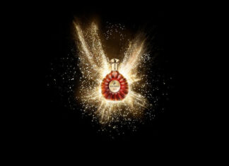 Remy Martin celebracion