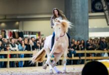 Madrid Horse Week