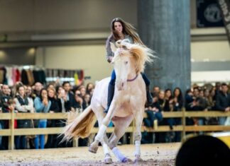 Madrid Horse Week
