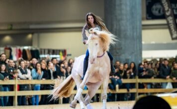 Madrid Horse Week