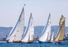 Regata Vela Puig
